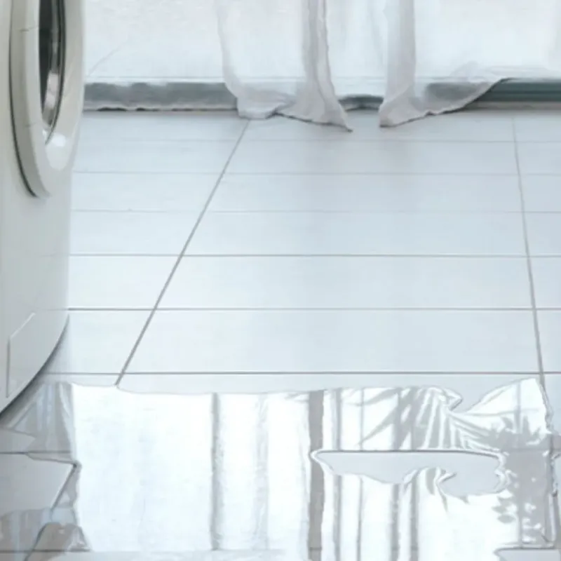 Appliance Leak Cleanup in Campbellsport, WI
