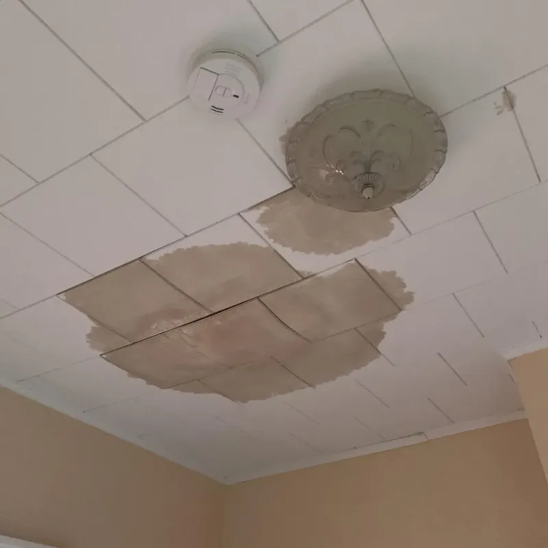 Ceiling Water Damage Repair in Campbellsport, WI