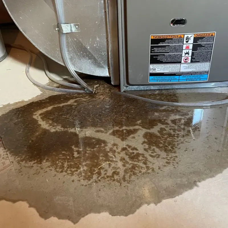Pipe Burst and Leak Restoration in Campbellsport, WI