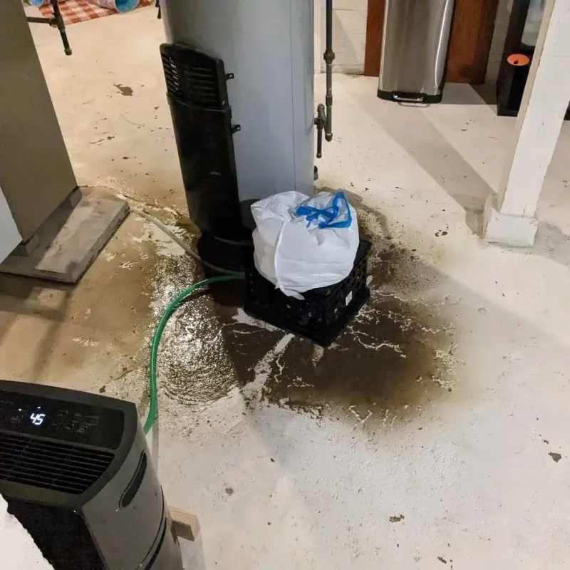 Sewage Backup Cleanup Service in Campbellsport, WI